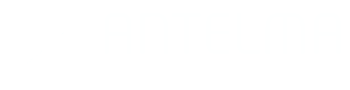 zAntelma Logo O NEGATIVO 350X90 BIANCO CONMARGINI 2